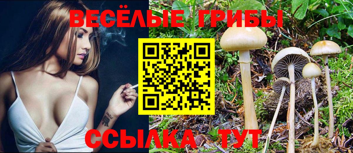 Галлюциногенные грибы Magic Shrooms Югорск