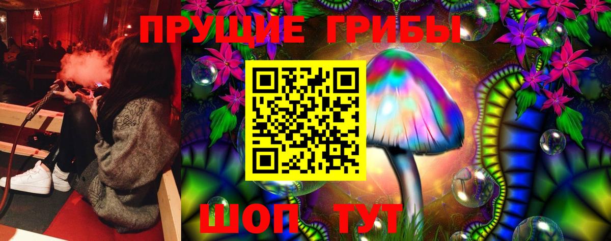 Псилоцибиновые грибы Psilocybine cubensis  Вход с VPN  Югорск 